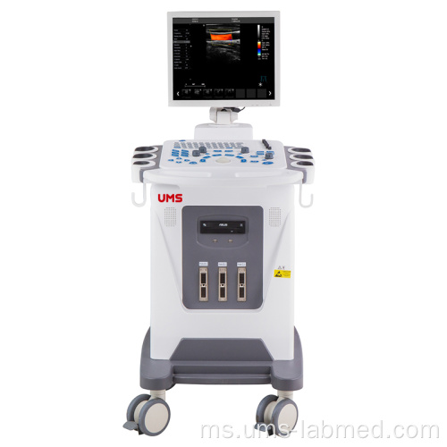 UW-F3 4D Color Doppler Pengimbas ultrabunyi (Model Asas 4D)